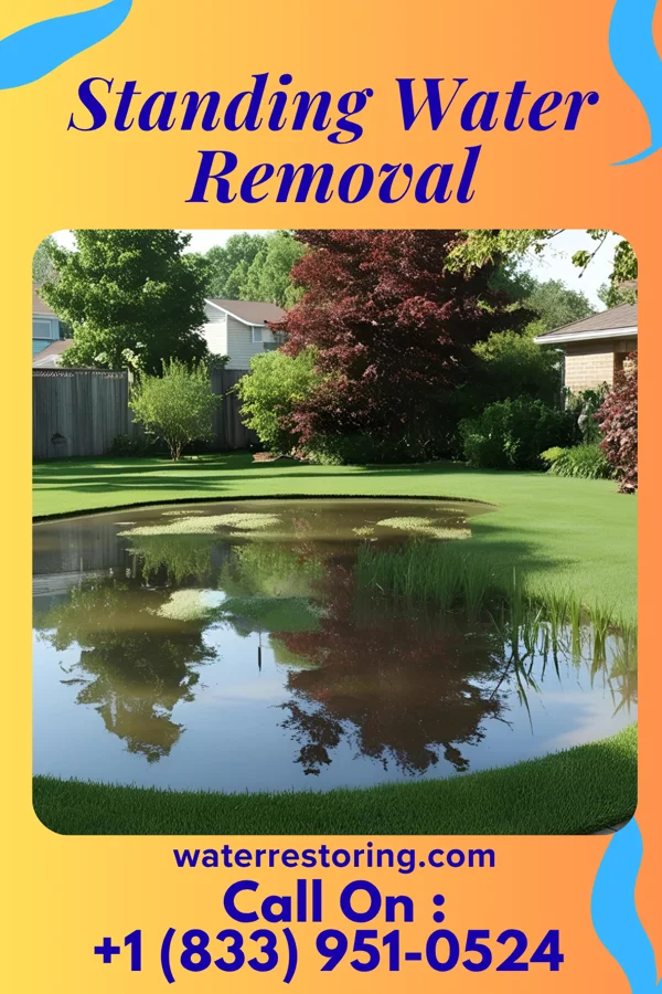 Standing Water Removal in Williamsville, MO